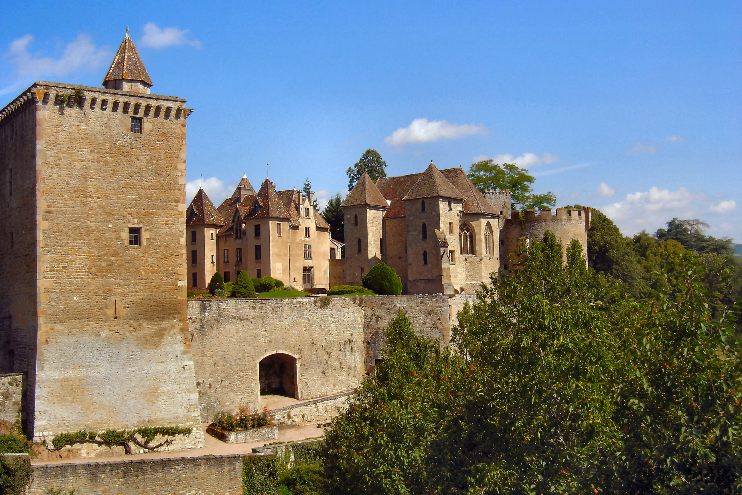 Le Blason de Vair   Château de Couches
