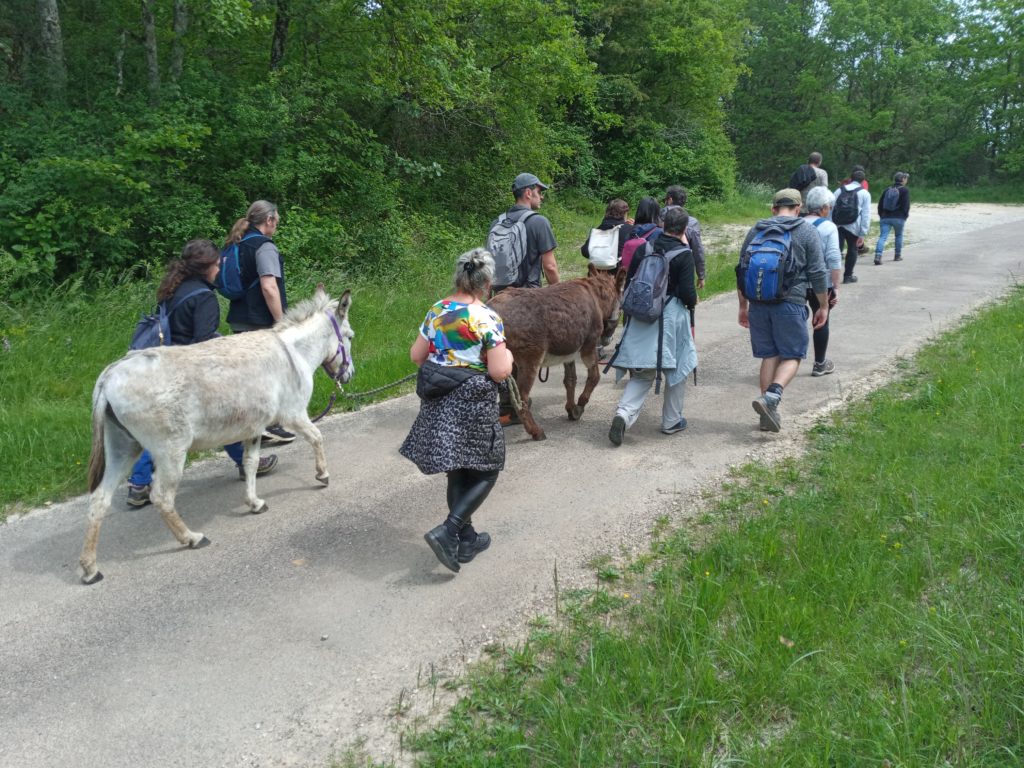 visuel Flore Y Ânes